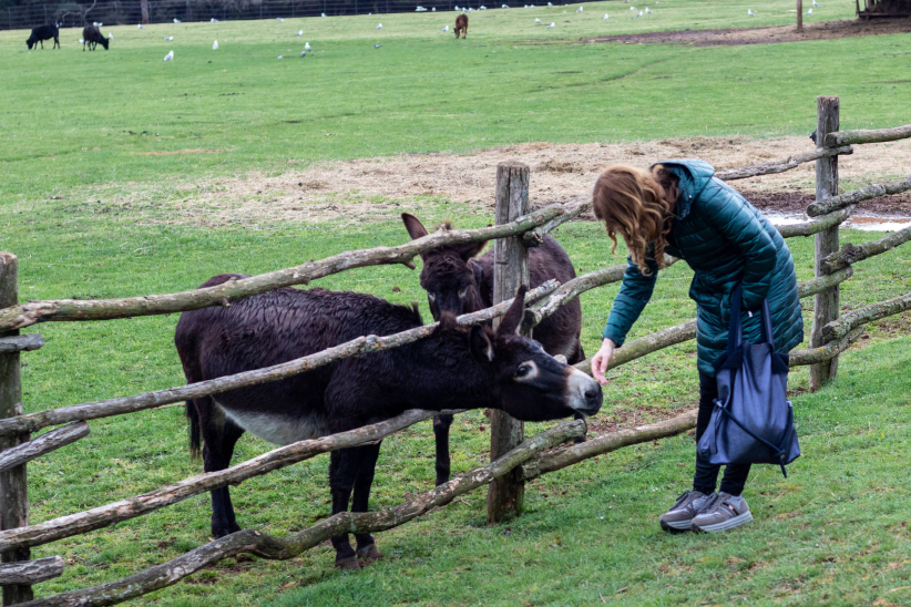Biscuit People Conference - Pula, Croatia