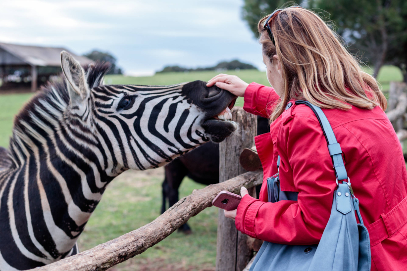 Biscuit People Conference - Pula, Croatia
