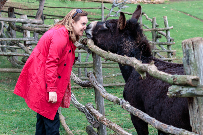 Biscuit People Conference - Pula, Croatia