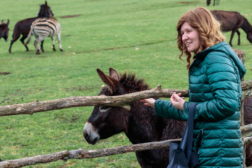 Biscuit People Conference - Pula, Croatia