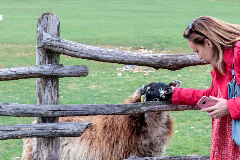 Biscuit People Conference - Pula, Croatia