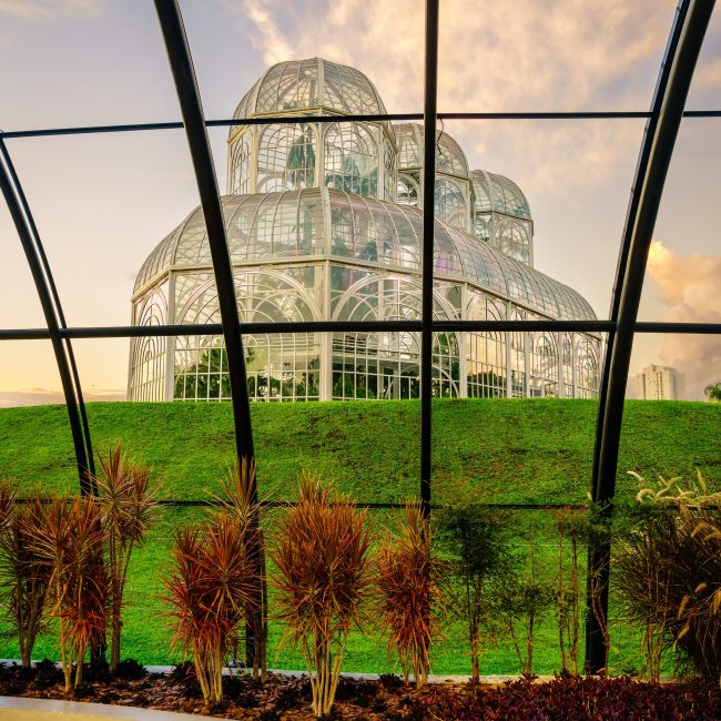 Botanical,Gardens,Of,Curitiba,,Brazil